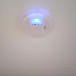 O Enxidro Rois