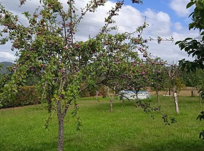 Tatil Evi O Enxidro *